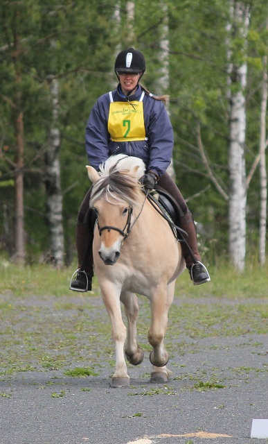 Desolett Kry 3271 och Helena