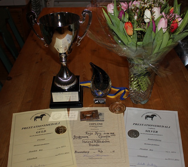 Häst- och hundpriser för 2011